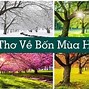 Cảm Nhận Về Bài Thơ Mùa Thu Hà Nội