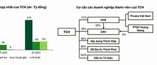 Ctcp Đầu Tư Dịch Vụ Tài Chính Hoàng Huy