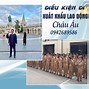 Xkld Châu Âu 2022 Cần Điều Kiện Gì Để Làm Gì